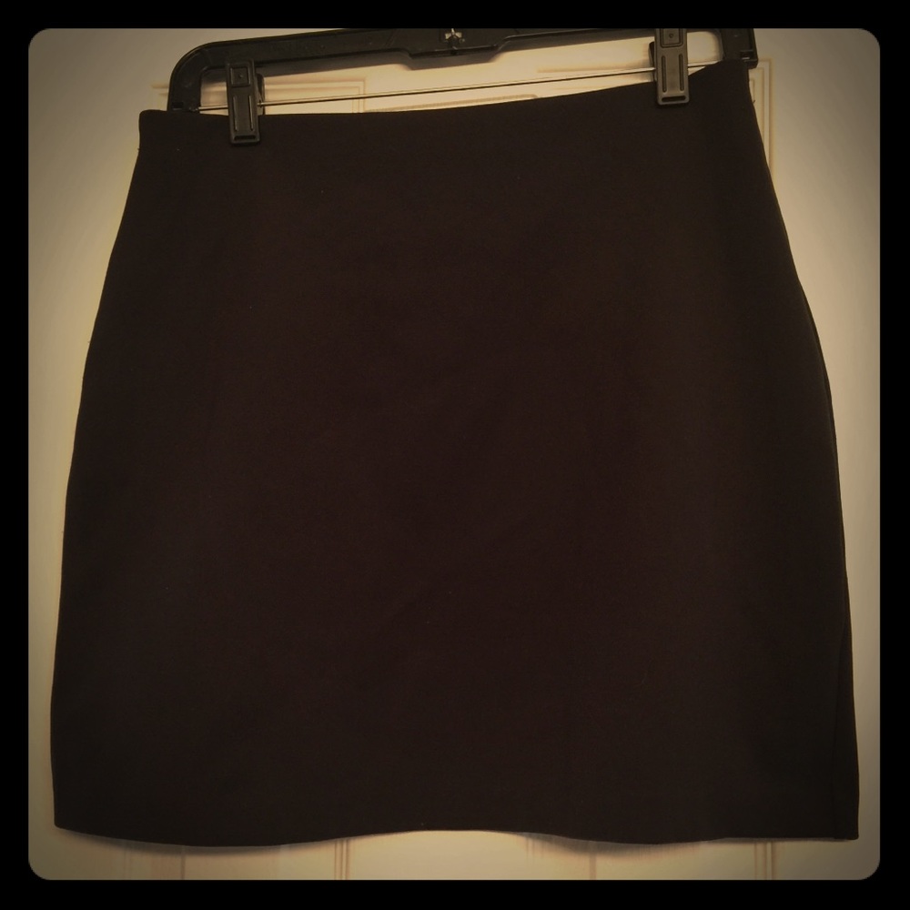 The Limited Dress Skirt